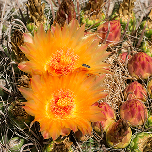 Extended Family Session | _V3A0078.jpg